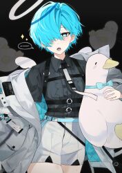 Rule 34 | 1boy, absurdres, bird, black background, black shirt, blue eyes, blue hair, bow, bowtie, collared shirt, commentary, duck, hair over one eye, halo, hanami haru, highres, jacket, looking at viewer, mole, mole on thigh, mole under eye, mole under mouth, open mouth, original, shirt, short hair, shorts, symbol-shaped pupils, teeth, tongue, upper teeth only, wings