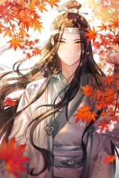 Rule 34 | 1boy, autumn leaves, black hair, brown eyes, chinese clothes, day, hair ornament, hair ribbon, hair stick, headband, highres, lan wangji, long hair, looking at viewer, male focus, modao zushi, outdoors, ribbon, robe, solo, sr illust, standing, upper body, white headband, white robe, wide sleeves