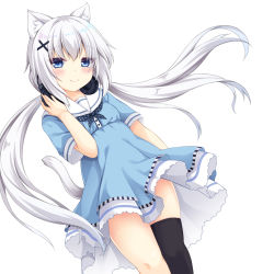 Rule 34 | 1girl, animal ear fluff, animal ears, bad id, bad twitter id, black thighhighs, blue dress, blue eyes, blush, cat ears, cat girl, cat tail, closed mouth, commentary request, dress, dutch angle, feet out of frame, hair between eyes, hair ornament, hand on headphones, headphones, headphones around neck, highres, long hair, looking at viewer, low twintails, original, sailor collar, sailor dress, sakuraba hikaru (loveindog), short sleeves, simple background, single thighhigh, smile, solo, sugimura runa, tail, thighhighs, twintails, very long hair, white background, white hair, white sailor collar, x hair ornament