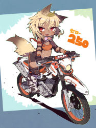 Rule 34 | 1girl, animal ears, bike shorts, blush, breasts, crab man, dark-skinned female, dark skin, fang, leaf, leaf on head, looking at viewer, motor vehicle, motorcycle, open mouth, red eyes, small breasts, solo, tail