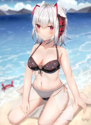Rule 34 | 1girl, absurdres, ahoge, arknights, bad id, bad pixiv id, bare legs, bare shoulders, beach, bikini, black bikini, black ribbon, blurry, blurry background, blush, breasts, cleavage, closed mouth, cloud, collarbone, crab, day, depth of field, front-tie bikini top, front-tie top, hair bun, highres, horns, linz (linzimmm), medium breasts, navel, ocean, on ground, outdoors, red eyes, ribbon, sarong, see-through, short hair, silver hair, single hair bun, smile, solo, stomach, swimsuit, w (arknights), water