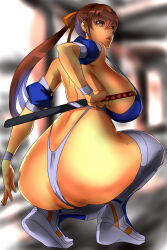 Rule 34 | 1girl, absurdres, ass, breasts, dead or alive, highres, huge breasts, kasumi (doa), long hair, solo