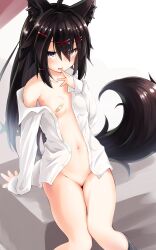 Rule 34 | 1girl, :d, absurdres, animal ears, black hair, bottomless, breasts, fang, fox ears, fox girl, fox tail, fuusuojisan, hand to own mouth, highres, long hair, long sleeves, looking at viewer, naked shirt, navel, off shoulder, open clothes, open mouth, open shirt, original, shirt, sitting, skin fang, small breasts, smile, stomach, tail, white shirt