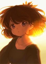 Rule 34 | 1girl, aki shizuha, backlighting, collarbone, dark, gradient background, iris anemone, leaf, leaf on head, long sleeves, looking at viewer, open mouth, portrait, short hair, solo, sunlight, touhou, upper body