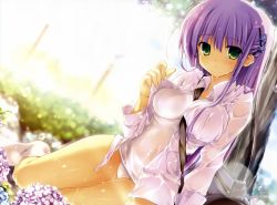 Rule 34 | 1girl, absurdres, bag, bare legs, between breasts, breasts, day, dress shirt, duffel bag, flower, fujisaki rei, green eyes, hair ornament, hairclip, highres, hydrangea, medium breasts, one-piece swimsuit, open clothes, open shirt, outdoors, purple hair, school swimsuit, see-through, shirt, sitting, socks, solo, strap between breasts, swimsuit, swimsuit under clothes, undressing, wet, white one-piece swimsuit, white school swimsuit