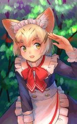 Rule 34 | 1girl, :d, alternate costume, animal ear fluff, animal ears, apron, blonde hair, bow, bowtie, cat ears, commentary, dress, enmaided, extra ears, frilled apron, frills, hand up, highres, kemono friends, kemono friends 3, long sleeves, looking at viewer, maid, open mouth, red bow, red bowtie, salute, sand cat (kemono friends), short hair, signature, smile, solo, welt (kinsei koutenkyoku), white apron, yellow eyes