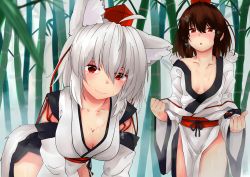 Rule 34 | 2girls, absurdres, ahoge, animal ears, bad id, bad pixiv id, bamboo, bamboo forest, bent over, black hair, blush, breasts, cleavage, collarbone, detached sleeves, forest, hat, heavy breathing, highres, huge filesize, inubashiri momiji, kourindou tengu costume, large breasts, looking at viewer, medium breasts, multiple girls, nature, naughty face, obi, open mouth, outdoors, pom pom (clothes), red eyes, red sash, sash, shameimaru aya, shirokaba114, short hair, silver hair, smile, sweat, tail, tokin hat, touhou, upper body, wolf ears, wolf tail