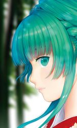 Rule 34 | 1girl, blunt bangs, blurry, blurry background, braid, commentary, eyelashes, female focus, green eyes, green hair, hime cut, japanese clothes, kageharu, kagiyama hina, kimono, lips, looking at viewer, looking to the side, matching hair/eyes, portrait, profile, sidelocks, solo, touhou
