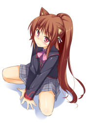 Rule 34 | 1girl, animal ears, blush, bow, brown hair, cat ears, hair bobbles, hair ornament, little busters!, long hair, natsume rin, pink bow, pink eyes, racer (magnet), school uniform, skirt, solo, squatting