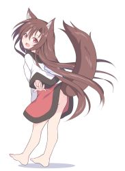 Rule 34 | 1girl, :d, animal ear fluff, animal ears, bare legs, barefoot, brown hair, dress, fang, full body, highres, imaizumi kagerou, kazawa (tonzura-d), long hair, long sleeves, looking at viewer, no panties, open mouth, red eyes, smile, tail, touhou, wide sleeves, wolf ears, wolf girl, wolf tail