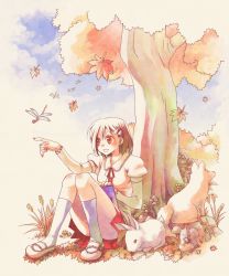 Rule 34 | 1girl, azpainter (medium), blush, brown eyes, brown hair, bug, commentary request, dog, dragonfly, falling leaves, full body, hair ornament, hairpin, highres, insect, juliet sleeves, leaf, long sleeves, looking to the side, nature, open mouth, original, puffy sleeves, purple socks, rabbit, red skirt, sakakura (sariri), shirt, shoes, short hair, sitting, skirt, smile, socks, solo, squirrel, tree, white footwear, white shirt