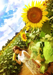 Rule 34 | 1girl, blue sky, breasts, brown hair, canister, cloud, collarbone, day, dress, dutch angle, field, floral print, flower, flower field, grass, light particles, long hair, looking at viewer, mahiro (mahiroht), original, outdoors, path, road, scenery, sky, solo, standing, summer, sundress, sunflower, sunflower field, sunlight, transmission tower, tree