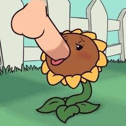 Rule 34 | animated, fellatio, foot focus, highres, oral, penis, plant, plants vs zombies, sunflower (plants vs zombies)