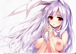 Rule 34 | 1girl, :o, absurdres, animal ears, blush, breasts, breasts apart, collarbone, completely nude, fingernails, fingers together, hands up, highres, ke-ta, large breasts, light purple hair, long fingernails, long hair, looking at viewer, nipples, nude, open mouth, own hands together, purple hair, rabbit ears, red eyes, reisen udongein inaba, scan, simple background, solo, tareme, touhou, translation request, upper body, white background