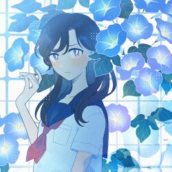 Rule 34 | 1girl, black hair, blue flower, breast pocket, closed mouth, commentary request, fingernails, flower, grid, grid background, hand up, highres, leaf, light blush, long hair, looking at viewer, morning glory, nahara saki, neckerchief, original, pink eyes, plant, pocket, pollen, purple eyes, purple flower, purple sailor collar, red neckerchief, sailor collar, scowl, shirt, short sleeves, solo, staring, turning head, upper body, white shirt