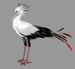 Rule 34 | 1other, absurdres, bird, brown eyes, closed mouth, commentary request, feather hair, feathers, full body, grey background, highres, human head, metamon1996, original, red lips, secretarybird, short hair, simple background, smile, solo, standing, white feathers, white hair