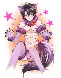 Rule 34 | 1boy, abs, absurdres, animal ears, bare shoulders, black hair, black nails, blue eyes, blush, claws, cosplay, elbow gloves, fangs, fate/grand order, fate (series), fingernails, fujimaru ritsuka (male), fur-trimmed legwear, fur-trimmed sleeves, fur trim, gloves, halloween costume, highres, long fingernails, looking at viewer, male focus, mash kyrielight, mash kyrielight (dangerous beast), mash kyrielight (dangerous beast) (cosplay), minazaka, nail polish, navel, official alternate costume, purple gloves, purple thighhighs, revealing clothes, solo, star (symbol), tail, thighhighs, wolf ears, wolf tail