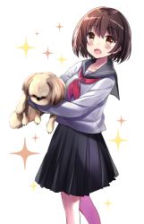 Rule 34 | 1girl, :d, animal, bad id, bad pixiv id, black sailor collar, black skirt, blush, brown eyes, brown hair, collarbone, commentary request, dog, elbow gloves, fang, gloves, hair between eyes, head tilt, highres, holding, holding animal, long sleeves, looking at viewer, minami saki, neckerchief, open mouth, original, pleated skirt, red neckerchief, sailor collar, school uniform, serafuku, shirt, short hair, simple background, skirt, smile, solo, sparkle, standing, white background, white shirt