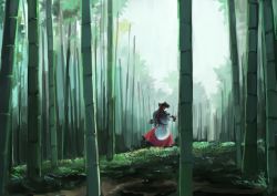Rule 34 | 1girl, animal ears, back, bamboo, bamboo forest, brown hair, capelet, commentary request, day, dress, forest, from side, ichiba youichi, imaizumi kagerou, landscape, long hair, long sleeves, looking back, nature, outdoors, solo, touhou, wolf ears