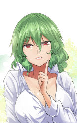 Rule 34 | 1girl, breasts, cleavage, collarbone, commentary request, green hair, grin, hair between eyes, hand up, highres, index finger raised, kazami yuuka, long sleeves, looking at viewer, one-hour drawing challenge, red eyes, shirt, short hair, smile, solo, touhou, upper body, white shirt, y2