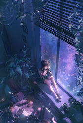 Rule 34 | 1girl, black footwear, black hair, black jacket, black shorts, book, bottle, building, cactus, candle, chandelier, chinese commentary, city, city lights, commentary request, drawing (object), elbow rest, expressionless, from above, full body, headphones, headphones around neck, highres, indoors, ivy, jacket, knees up, long hair, night, off shoulder, original, picture frame, plant, potted plant, purple theme, sandals, scenery, shirt, shorts, sitting, sixii, socks, solo, suitcase, white shirt, white socks, window, window blinds, windowsill, wine bottle