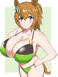 1girl alternate_costume animal_ears bare_shoulders bikini black_bikini blue_eyes border breasts brown_hair cleavage green_background green_bikini hair_between_eyes hair_ornament hand_on_own_hip highres horse_ears horse_girl horse_tail huge_breasts kagemusha looking_at_viewer multicolored_bikini multicolored_clothes ponytail revision simple_background smile solo star_(symbol) star_hair_ornament swimsuit taiki_shuttle_(umamusume) tail two-tone_bikini umamusume white_border