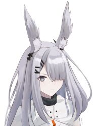 Rule 34 | 1girl, animal ears, arknights, closed mouth, commentary, frostnova (arknights), glaring, grey eyes, grey hair, hair ornament, hair over one eye, hairclip, highres, long hair, looking at viewer, mixed-language commentary, nemesis gx, one eye covered, rabbit ears, rabbit girl, scar, scar on face, scar on nose, simple background, solo, split mouth, sweater, turtleneck, turtleneck sweater, upper body, white background, white hair, white sweater