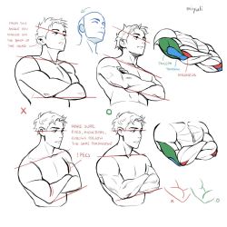 Rule 34 | 1boy, anatomy, closed mouth, collarbone, crossed arms, english text, fingernails, how to, male focus, miyuli, muscular, original, perspective, signature, solo