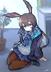 Rule 34 | 1girl, absurdres, amiya (arknights), animal ears, arknights, ascot, black footwear, black pantyhose, blue ascot, blue collar, blue eyes, blue skirt, blush, brown hair, collar, desk, hair between eyes, highres, hood, hood down, hooded jacket, indoors, jacket, jewelry, kolaytoh, long hair, long sleeves, looking at viewer, multiple rings, neck ring, on floor, open clothes, open jacket, pantyhose, plaid, plaid skirt, plant, ponytail, potted plant, rabbit ears, rabbit girl, ring, shirt, sidelocks, signature, sitting, sketch, skirt, solo, wariza, white shirt