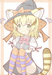 Rule 34 | 1girl, animal ears, bat (animal), black dress, black hair, black hat, blonde hair, blush, bow, breasts, brown background, cat ears, cat girl, cat tail, center frills, closed mouth, commentary request, dress, feet out of frame, frills, green eyes, hat, highres, kemono friends, knees together feet apart, knees up, looking at viewer, medium breasts, multicolored hair, pink bow, puffy short sleeves, puffy sleeves, sand cat (kemono friends), shirt, short sleeves, sleeveless, sleeveless dress, smile, solo, striped clothes, striped tail, striped thighhighs, sunanuko (ramuneko), tail, thighhighs, two-tone background, two-tone hair, white background, white shirt, witch hat