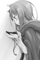 Rule 34 | 1girl, animal ears, ayakura juu, blush, cape, crying, crying with eyes open, from side, greyscale, holding, holo, long hair, monochrome, novel illustration, official art, parted lips, solo, spice and wolf, tears, upper body, white background, wolf ears