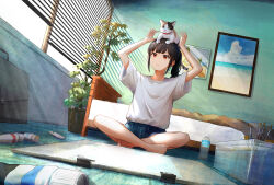 Rule 34 | 1girl, absurdres, animal, animal on head, arms up, bare legs, barefoot, bed, bed sheet, black hair, blue shorts, bottle, briefcase, canvas (object), cat, cat on head, crossed legs, flower pot, full body, highres, indoors, light rays, looking up, medium hair, mimihachi, on floor, on head, original, paint, paint tube, paintbrush, picture frame, plant, potted plant, red eyes, shirt, shorts, side ponytail, sidelocks, smile, sunbeam, sunlight, water bottle, white shirt