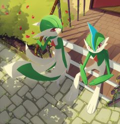 Rule 34 | blue hair, bush, creatures (company), door, food, from above, fruit, full body, gallade, game freak, gardevoir, gen 3 pokemon, gen 4 pokemon, green hair, hair over one eye, hand up, looking at viewer, looking up, multicolored hair, nintendo, outdoors, pokemon, pokemon (creature), pokemon dppt, pokemon rse, red eyes, sitting, smile, spread legs, standing, tinhan, two-tone hair