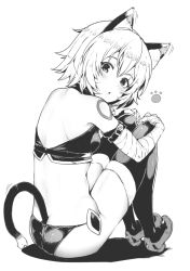 Rule 34 | 1girl, animal ears, arm belt, back, bandaged arm, bandages, bare shoulders, blush, breasts, cat ears, cat tail, crop top, facial scar, fate/apocrypha, fate (series), fingerless gloves, gloves, greyscale, hair between eyes, highres, jack the ripper (fate/apocrypha), kemonomimi mode, knees up, looking at viewer, looking back, lowleg, lowleg panties, monochrome, open mouth, panties, paw print, scar, scar across eye, scar on cheek, scar on face, short hair, shoulder tattoo, simple background, single glove, sitting, small breasts, solo, sumisu (mondo), tail, tattoo, thighhighs, underwear, white background