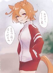 Rule 34 | 1girl, ahoge, amano (amano miko), animal ears, buruma, commentary request, ear ornament, hair between eyes, hand in pocket, highres, horse ears, horse girl, horse tail, jacket, long sleeves, looking at viewer, orange hair, orange tail, red buruma, red jacket, red track suit, short hair, solo, t.m. opera o (umamusume), tail, tracen training uniform, track suit, translation request, umamusume