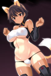 Rule 34 | 1girl, animal ears, armor, bandeau, bare shoulders, belly, blush, breasts, brown eyes, brown hair, covered erect nipples, dark background, detached collar, dutch angle, fox ears, fox tail, gauntlets, gradient background, japanese armor, katou keiko, kote, kyogoku shin, large breasts, looking at viewer, midriff, navel, one-piece tan, panties, plump, shin guards, short hair, solo, strapless, strike witches, tail, tan, tanline, tube top, underboob, underwear, uniform, witches of africa, world witches series