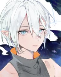 Rule 34 | 1boy, androgynous, blue eyes, collared shirt, elf, kuzuvine, looking at viewer, lord of heroes, mikhail blake, mole, mole under eye, pale skin, pointy ears, shirt, sleeveless, white hair