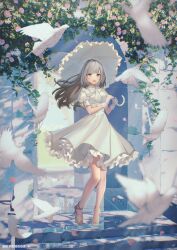 Rule 34 | 1girl, animal, artist name, bird, blurry, blurry foreground, bow, bowtie, falling petals, feathers, floating hair, flower, frilled skirt, frills, gloves, grey hair, high-waist skirt, high heels, highres, holding, holding umbrella, layered skirt, long hair, oli o o, open mouth, original, paid reward available, petals, pigeon, plant, puffy short sleeves, puffy sleeves, purple eyes, purple flower, ribbon, see-through gloves, shirt, short sleeves, skirt, solo, stairs, standing, stone stairs, toeless footwear, umbrella, vines, watermark, web address, white bow, white bowtie, white feathers, white footwear, white gloves, white ribbon, white shirt, white umbrella, wind