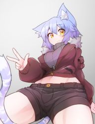 Rule 34 | 1girl, animal ear fluff, animal ears, blue hair, breasts, cat ears, cat tail, female focus, grey background, highres, midriff, navel, original, ryota tentei, scar, scar on face, short shorts, shorts, simple background, solo, tail, tora tentei, v, yellow eyes