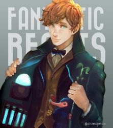 Rule 34 | 1boy, artist name, blue eyes, bow, bowtie, bowtruckle, brown hair, coat, copyright name, fantastic beasts and where to find them, grey background, harry potter (series), jippei, leaf, male focus, newt scamander, niffler, solo, wizarding world