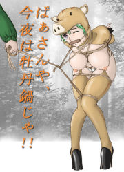 Rule 34 | 2007, amiba00, animal costume, arms behind back, bdsm, bend over, bit gag, boar (chinese zodiac), boar costume, bondage, bound, bound legs, box tie, breast bondage, breasts, chinese zodiac, costume, crotch rope, gag, gagged, green hair, hooves, large breasts, leash, new year, original, outdoors, panties, pig, snow, source request, thighhighs, topless, underwear, white panties