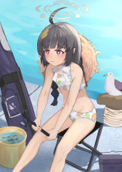 Rule 34 | :3, absurdres, bag, bird, blue archive, braid, bucket, chair, container, fish, fishing, fishing rod, flat chest, gachiz sun, hair ornament, halo, hat, hat on back, highres, holding, holding fishing rod, leaf hair ornament, leaf print, miyu (blue archive), miyu (swimsuit) (blue archive), on chair, red eyes, ribbon, seagull, sitting, straw hat, swimsuit, twin braids, twintails, water