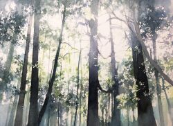 Rule 34 | forest, grass, highres, light rays, nature, no humans, original, painting (medium), plant, scenery, shadow, sky focus, sunlight, toyonaga ryouhei, traditional media, tree, watercolor (medium)