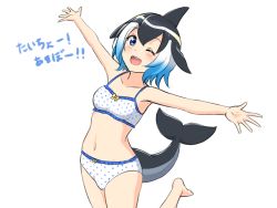 Rule 34 | 1girl, ;d, absurdres, bare arms, bare shoulders, barefoot, black hair, blue eyes, blue hair, bra, cetacean tail, common dolphin (kemono friends), dorsal fin, fins, fish tail, gradient hair, hair between eyes, highres, kemono friends, midriff, multicolored hair, navel, one eye closed, open mouth, outstretched arms, panties, polka dot, polka dot bra, polka dot panties, shiraha maru, short hair, simple background, smile, solo, spread arms, tail, translated, underwear, underwear only, white background, white hair