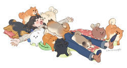 Rule 34 | 1girl, :p, blush, bone, brown hair, closed eyes, denim, dog, jeans, long hair, lying, multiple dogs, on back, open mouth, original, pants, pomeranian (dog), simple background, sleeping, socks, sweater, tail, tail wagging, tongue, tongue out, too many, too many dogs, turtleneck, turtleneck sweater, umishima senbon