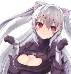 Rule 34 | @ @, animal ear fluff, animal ears, black dress, black gloves, blush, breasts, cat ears, cleavage, cleavage cutout, clothing cutout, commentary request, cosplay, dress, gloves, hair between eyes, hands up, head tilt, juliet sleeves, long hair, long sleeves, looking at viewer, medium breasts, nier:automata, nier (series), nora cat, nora cat channel, parted lips, puffy sleeves, red eyes, silver hair, sleeves past wrists, solo, takara akihito, two side up, very long hair, virtual youtuber, 2b (nier:automata), 2b (nier:automata) (cosplay)
