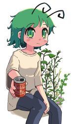 Rule 34 | 1girl, alternate costume, antennae, blue pants, blush, breasts, can, closed mouth, commentary, drink can, feet out of frame, green eyes, green hair, incoming drink, looking at viewer, pants, plant, shirt, short hair, sitting, small breasts, smile, soda can, solo, t-shirt, touhou, ugif, white background, white shirt, wriggle nightbug