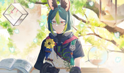 Rule 34 | 1boy, animal ear fluff, animal ears, asymmetrical sleeves, black gloves, black hair, black shirt, blunt ends, blurry, blurry background, book, branch, bright pupils, bug, butterfly, closed mouth, commentary request, drawstring, earrings, flower, fox ears, genshin impact, gloves, gradient eyes, green eyes, green hair, highres, hood, hood down, hoodie, insect, jewelry, long sleeves, looking at object, male focus, medal, multicolored clothes, multicolored eyes, multicolored hair, nature, paper, pen, plant, red flower, shirt, short hair, short sleeves, sidelocks, single earring, smile, solo, table, tassel, tighnari (genshin impact), turtleneck, two-tone gloves, two-tone hair, yaner 10, yellow flower