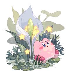Rule 34 | :o, arms up, blue eyes, blush, blush stickers, calla lily, flower, grass, in water, kirby, kirby (series), leaf, lily pad, mutekyan, nintendo, no humans, open mouth, plant, shallow water, simple background, sitting, solo, star (symbol), water, water drop, white background, white flower