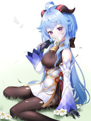 Rule 34 | 1girl, ahoge, bell, black gloves, black pantyhose, blue hair, blush, breasts, commentary request, covering own mouth, cowbell, detached sleeves, flower, flower to mouth, ganyu (genshin impact), genshin impact, gloves, goat horns, hand on floor, hand up, highres, holding, holding flower, horns, long hair, long sleeves, looking at viewer, medium breasts, outdoors, pantyhose, purple eyes, qingxin flower, sarablanche, sitting, solo, twitter username, vision (genshin impact), wariza, white flower